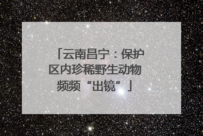 云南昌宁：保护区内珍稀野生动物频频“出镜”