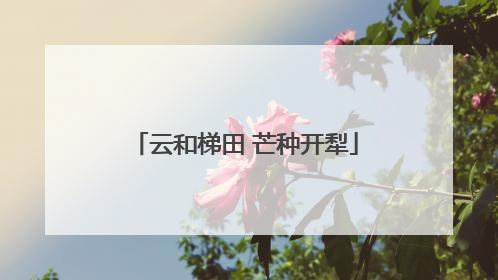 云和梯田 芒种开犁