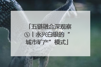 五链融合深观察⑤丨永兴白银的“城市矿产”模式