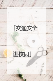 交通安全进校园