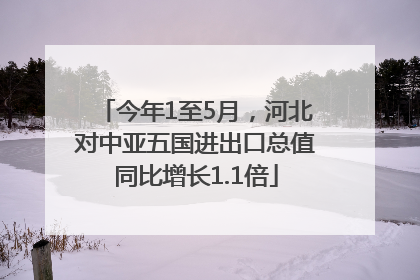 今年1至5月，河北对中亚五国进出口总值同比增长1.1倍