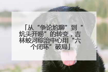 从“争论尬聊”到“炕头开唠”的转变，吉林蛟河综治中心用“六个闭环”破局