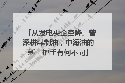 从发电央企空降、曾深耕煤制油，中海油的新一把手有何不同