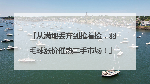 从满地丢弃到抢着捡，羽毛球涨价催热二手市场！