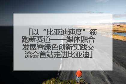 以“比亚迪速度”领跑新赛道——媒体融合发展暨绿色创新实践交流会首站走进比亚迪