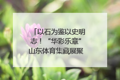 以石为鉴以史明志！“华彩乐章”山东体育集藏展聚焦“岱石丹心”