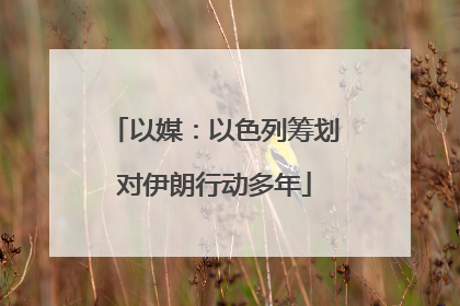 以媒：以色列筹划对伊朗行动多年