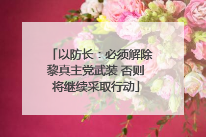 以防长：必须解除黎真主党武装 否则将继续采取行动