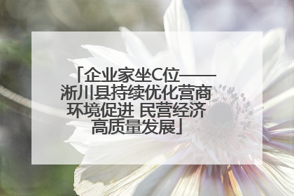 企业家坐C位——淅川县持续优化营商环境促进 民营经济高质量发展