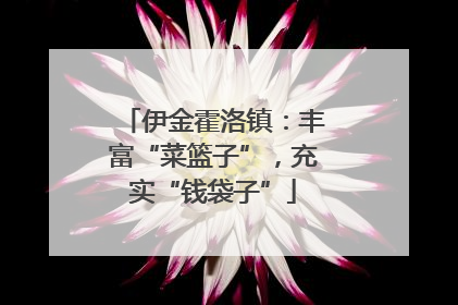 伊金霍洛镇：丰富“菜篮子”，充实“钱袋子”