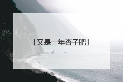 又是一年杏子肥
