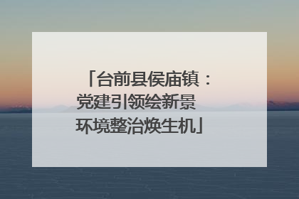 台前县侯庙镇：党建引领绘新景 环境整治焕生机