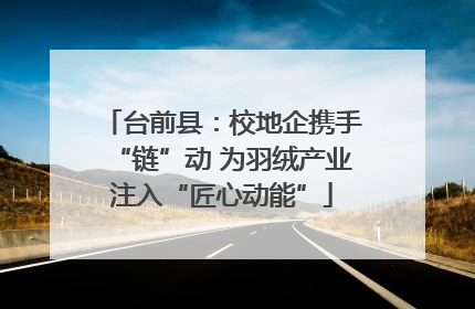 台前县：校地企携手“链”动 为羽绒产业注入“匠心动能”