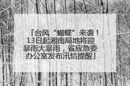 台风“蝴蝶”来袭！13日起湘南局地将迎暴雨大暴雨，省应急委办公室发布汛情提醒