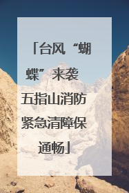 台风“蝴蝶”来袭 五指山消防紧急清障保通畅