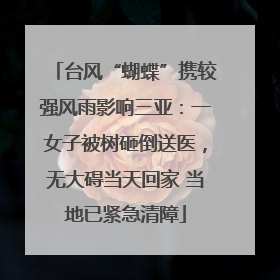 台风“蝴蝶”携较强风雨影响三亚：一女子被树砸倒送医，无大碍当天回家 当地已紧急清障