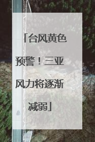 台风黄色预警！三亚风力将逐渐减弱