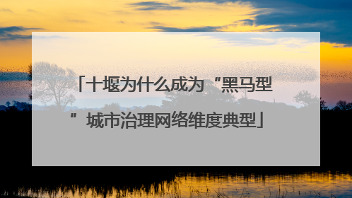 十堰为什么成为“黑马型”城市治理网络维度典型