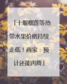 十堰榴莲等热带水果价格持续走低！商家：预计还能再降