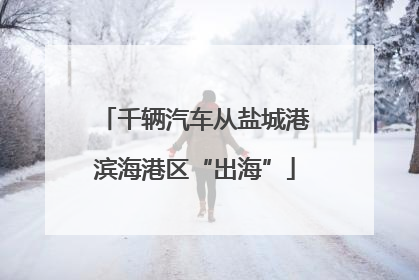 千辆汽车从盐城港滨海港区“出海”