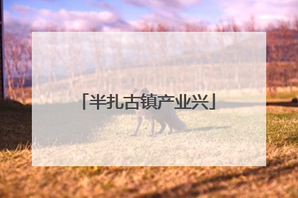半扎古镇产业兴