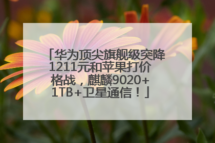 华为顶尖旗舰级突降1211元和苹果打价格战，麒麟9020+1TB+卫星通信！