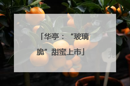 华亭：“玻璃脆”甜蜜上市