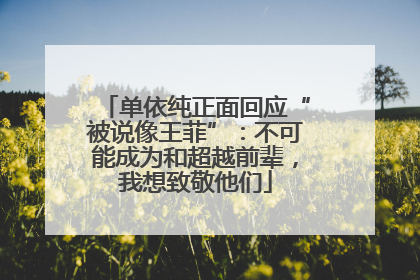 单依纯正面回应“被说像王菲”：不可能成为和超越前辈，我想致敬他们