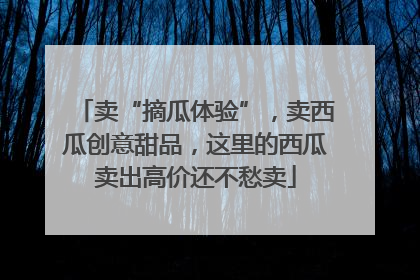卖“摘瓜体验”，卖西瓜创意甜品，这里的西瓜卖出高价还不愁卖