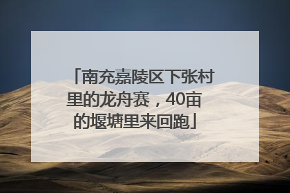 南充嘉陵区下张村里的龙舟赛，40亩的堰塘里来回跑