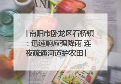 南阳市卧龙区石桥镇：迅速响应强降雨 连夜疏通河道护农田