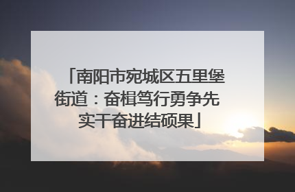 南阳市宛城区五里堡街道：奋楫笃行勇争先 实干奋进结硕果