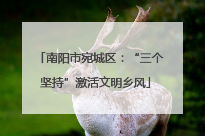 南阳市宛城区：“三个坚持”激活文明乡风