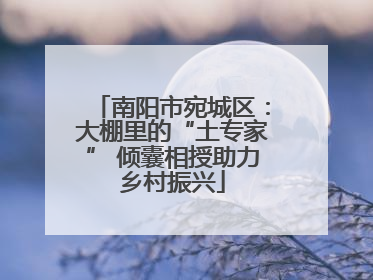 南阳市宛城区：大棚里的“土专家” 倾囊相授助力乡村振兴