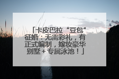 卡皮巴拉“豆包”征婚：无需彩礼，有正式编制，嫁妆豪华别墅＋专属泳池！