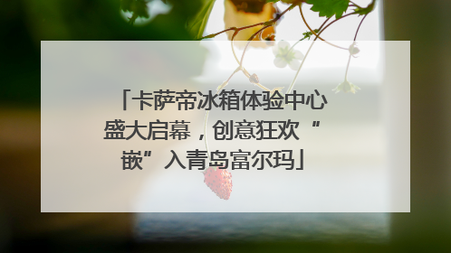 卡萨帝冰箱体验中心盛大启幕，创意狂欢“嵌”入青岛富尔玛
