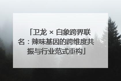 卫龙 × 白象跨界联名：辣味基因的跨维度共振与行业范式重构