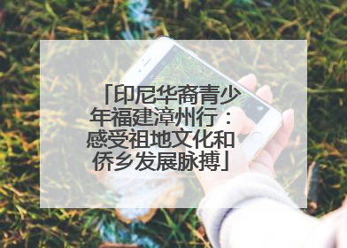 印尼华裔青少年福建漳州行：感受祖地文化和侨乡发展脉搏