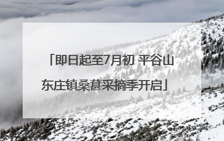 即日起至7月初 平谷山东庄镇桑葚采摘季开启