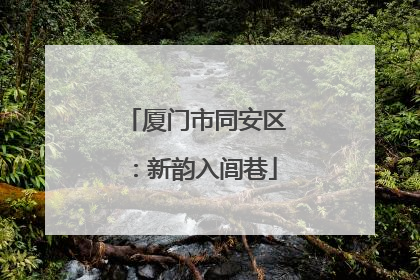 厦门市同安区：新韵入闾巷