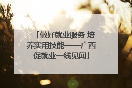 做好就业服务 培养实用技能——广西促就业一线见闻