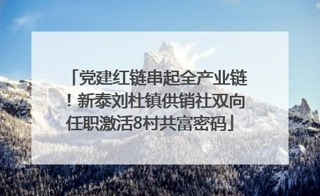 党建红链串起全产业链！新泰刘杜镇供销社双向任职激活8村共富密码