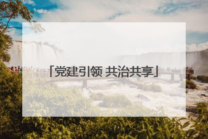 党建引领 共治共享