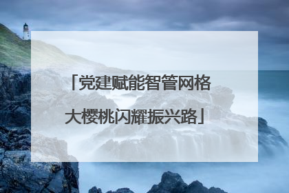 党建赋能智管网格 大樱桃闪耀振兴路