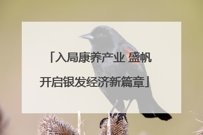 入局康养产业 盛帆开启银发经济新篇章
