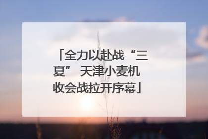 全力以赴战“三夏” 天津小麦机收会战拉开序幕