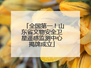全国第一！山东省文物安全卫星遥感监测中心揭牌成立