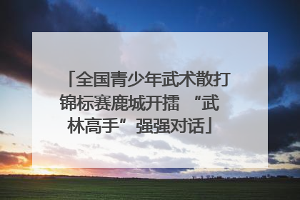 全国青少年武术散打锦标赛鹿城开擂 “武林高手”强强对话