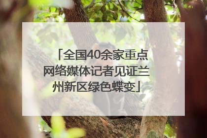 全国40余家重点网络媒体记者见证兰州新区绿色蝶变