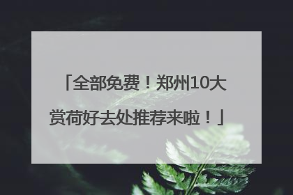 全部免费！郑州10大赏荷好去处推荐来啦！
